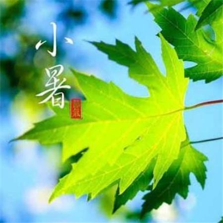 《深海》电影观后感