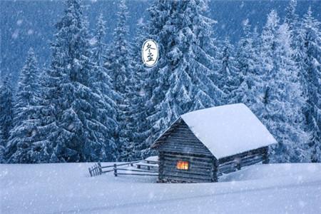 电影骆驼祥子观后感