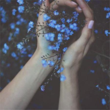 文明校园创建故事分享会观后感心得