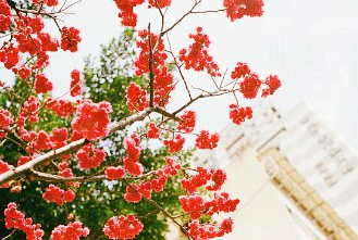 《<a href=/pengyouquan/33708.html target=_blank class=infotextkey>你的</a>婚礼》优秀观后感