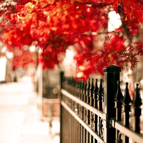 喜剧动画《小黄人大眼萌》观后感