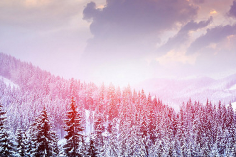 《<a href=/pengyouquan/6714.html target=_blank class=infotextkey>爱情</a>公寓》观后感