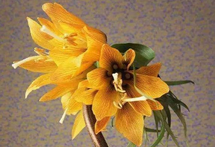 电影《阿童木》观后感