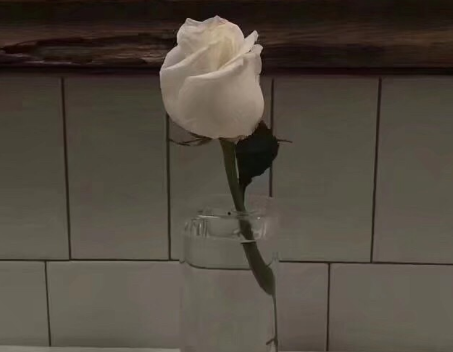 九层妖塔观后感