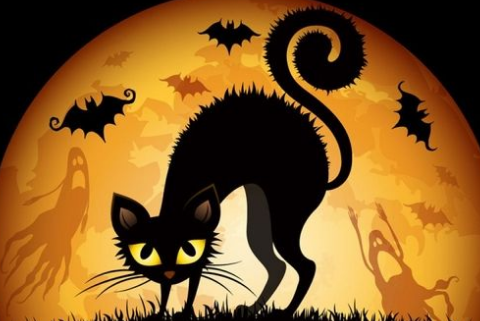 央视朗读者礼物观后感