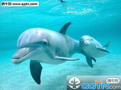 《封神第一部》电影观后感