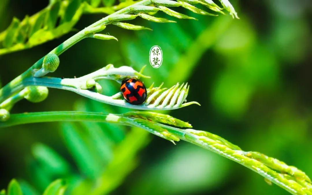 法制教育观后感 法制教育观后感600字