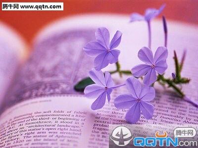 电影《阿甘正传》观后感