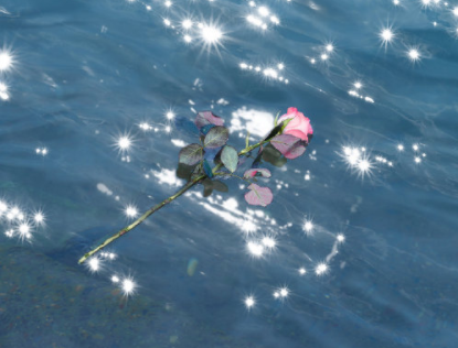 老马家的幸福往事观后感