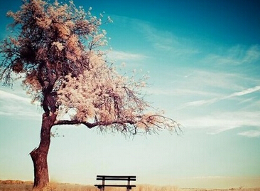 《战狼》电影观后感