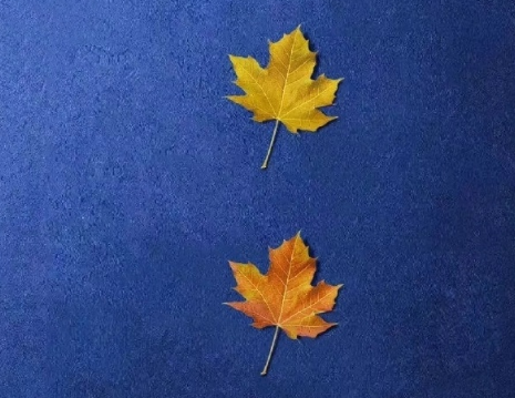 大型纪录片《江山多娇》观后感