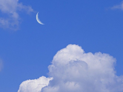 生命重于泰山观后感300字