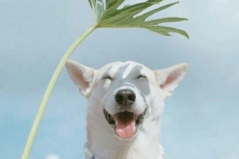 电影《千与千寻》观后感