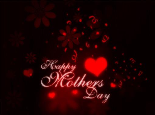 《忠犬八公》观后感600字