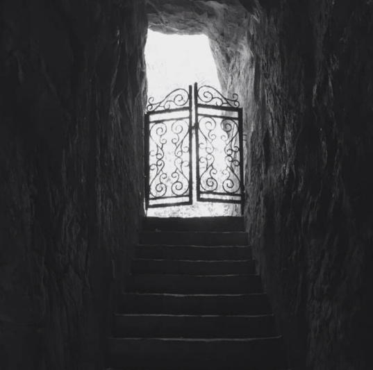 预防校园暴力观后感10篇 如何预防校园霸凌