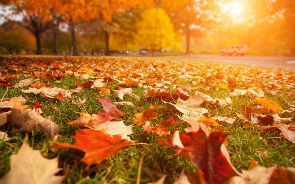 《<a href=/shanggan/34742.html target=_blank class=infotextkey>中国</a>医生》的观后感