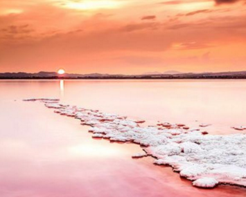 西游记观后感 观后感《西游记》