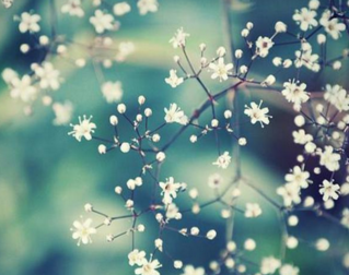 我和我的父辈电影观后感