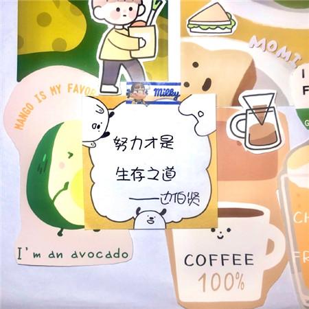 董卿朗读者第六期观后感