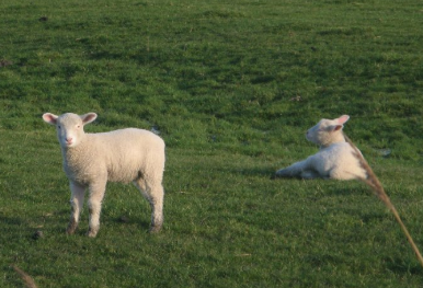 《开学第一课》奋斗成就梦想主题2022在线直播观后感