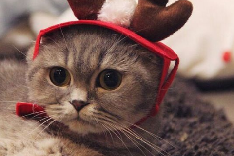 观看《金秋五课》观后感