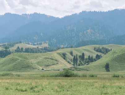 电影千与千寻观后感