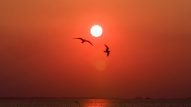 忠义参天话英雄新版水浒传观后感