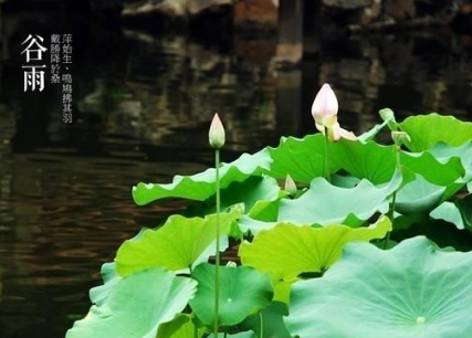 音乐剧猫观后感怎么写