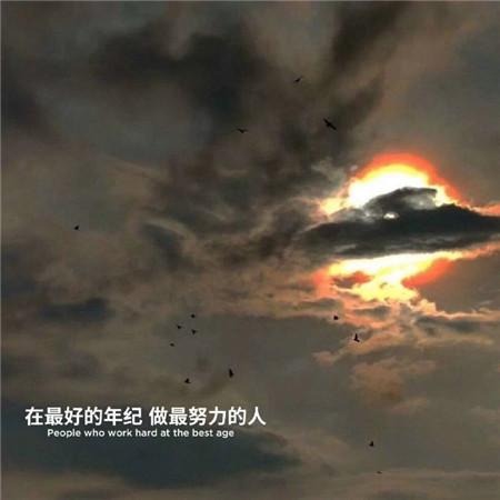 观《狗狗的疯狂假期》有感作文