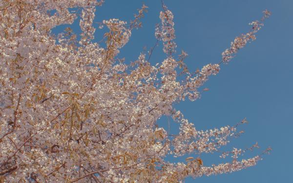 电影《海洋奇缘》观后感