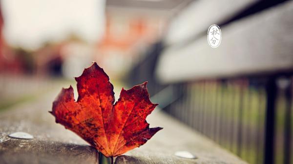 红色电影观后感5篇 电影《长津湖》观后感400字