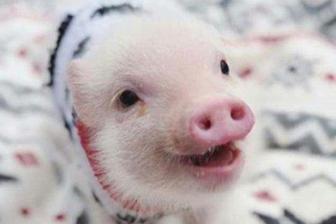 逆行人生 逆行人生观后感200字