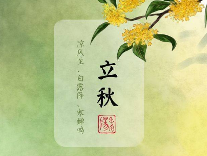 摔跤吧 《摔跤吧!爸爸》观后感800字