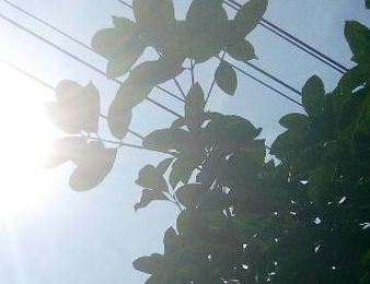 2022年CCTV1开学第一课观后感