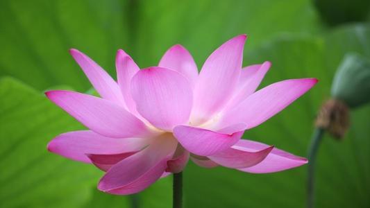 电影《虐童疑云》观后感