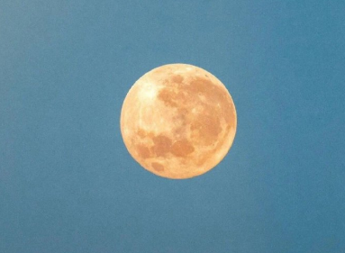 深夜食堂观后感