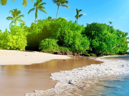 杨善洲电影观后感