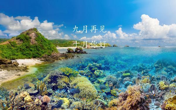 《我在故宫修文物》观后感