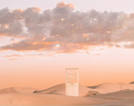 茶啊二中观后感