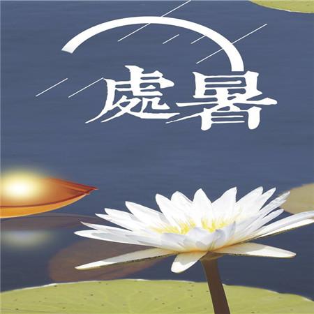 观看典籍里的<a href=/shanggan/34742.html target=_blank class=infotextkey>中国</a>观后感