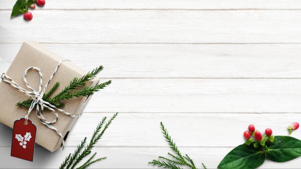 2025年广东开学第一课学习心得(通用29篇)