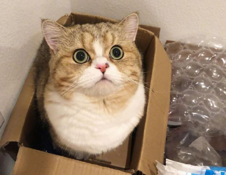 我的前半生电视剧观后感