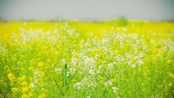《我的前半生》电视剧观后感