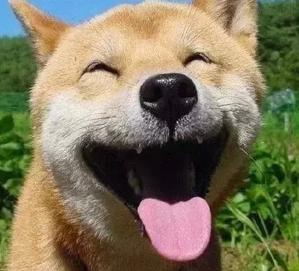 央视CCTV理想照亮未来开学第一课观后感(<a href=/baqi/34092.html target=_blank class=infotextkey>精选</a>20篇)