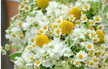 2024秋季开学第一课心得<a href=/pengyouquan/33720.html target=_blank class=infotextkey>体会</a>(通用43篇)