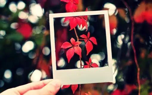 《跨过鸭绿江》教师观后感