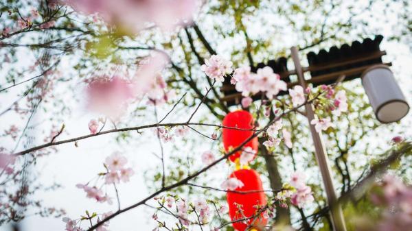 观看《天宫课堂第二课》个人观后感