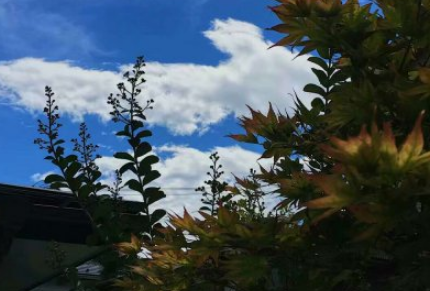 《长津湖之水门桥》优秀电影观后感