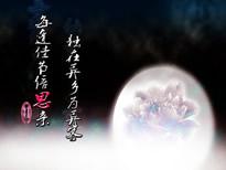 《我和我的祖国》电影观后感