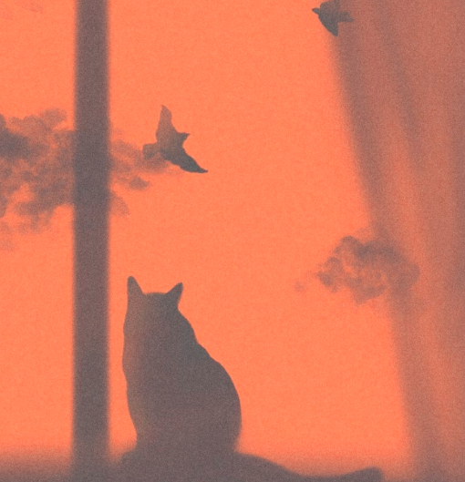 《铁人》观后感